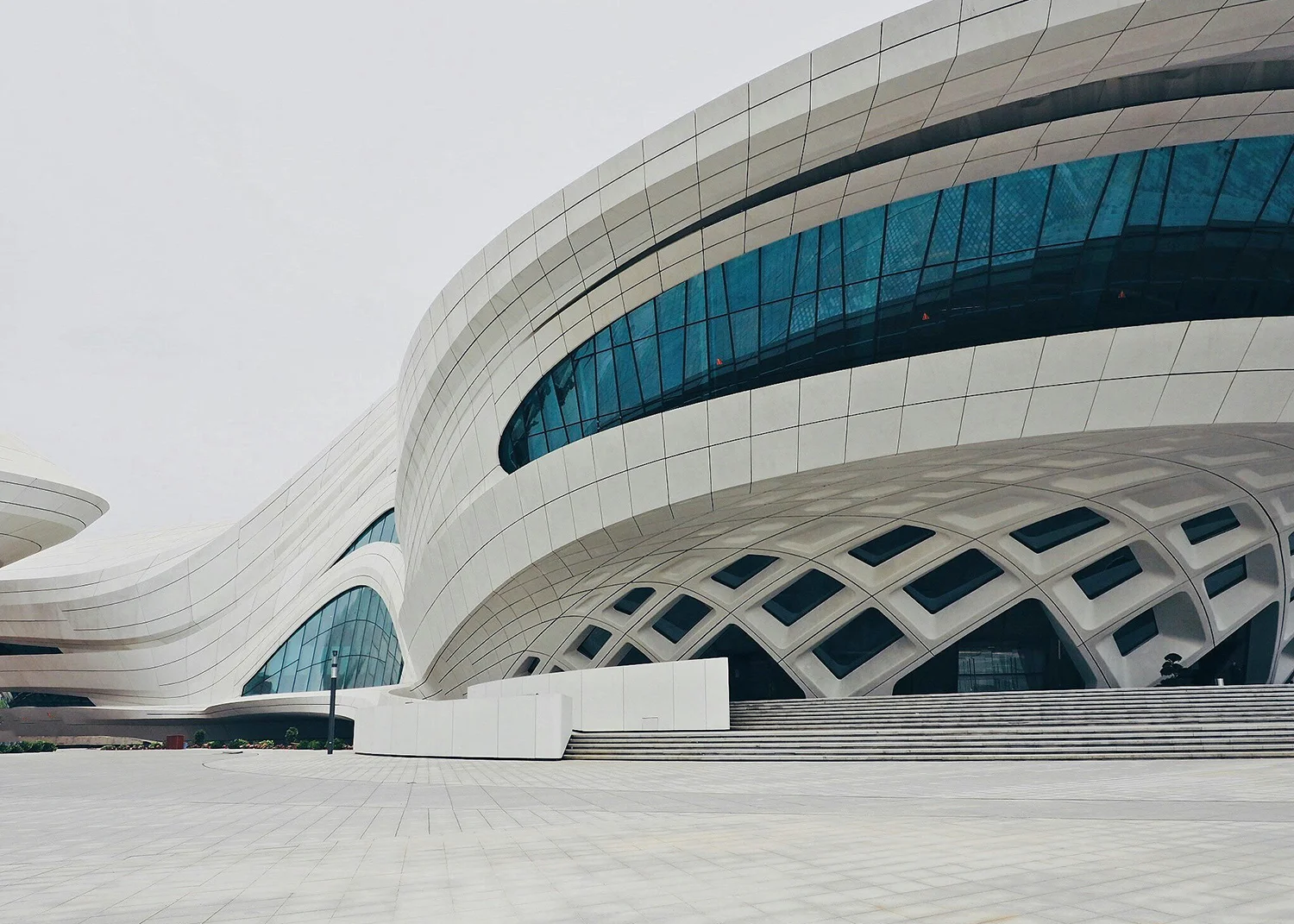 شركة تأمين الدعم